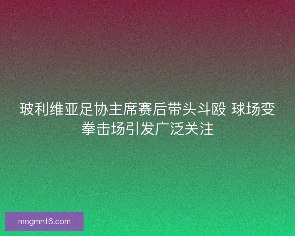 玻利维亚足协主席赛后带头斗殴 球场变拳击场引发广泛关注