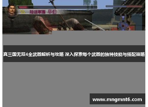 真三国无双4全武器解析与攻略 深入探索每个武器的独特技能与搭配策略